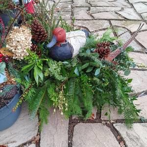 Meet your Posher, Paula